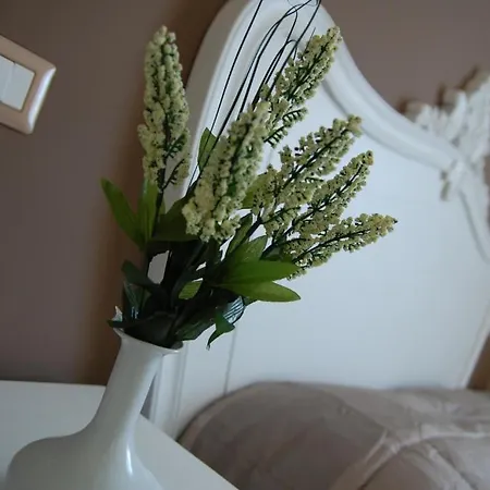 Guest house Relais Domus Elettra